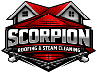 scorpionsteamclean.co.uk